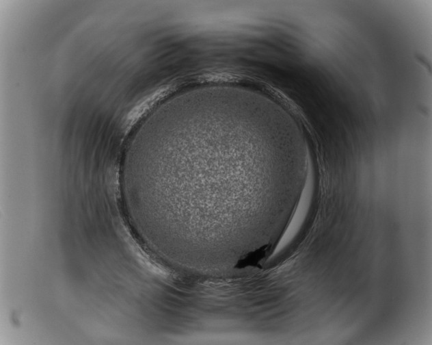 X0000099530725200805231101
