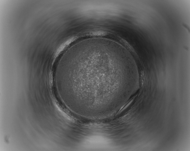 X0000099530726200805231101