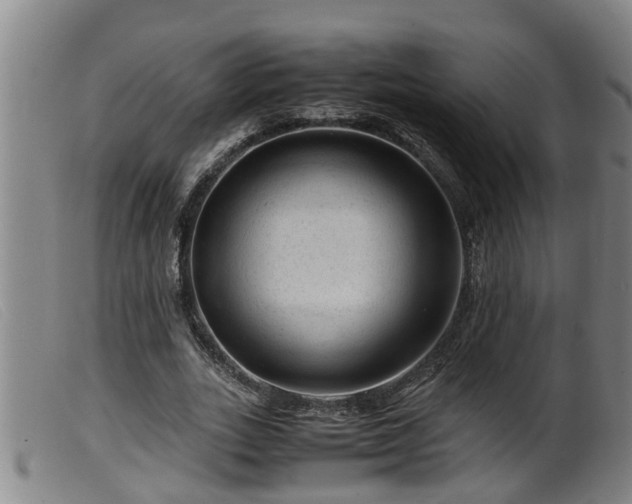 X0000099530727200805231101