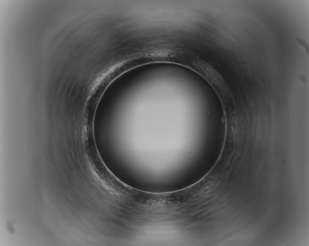 X0000099530728200805231101