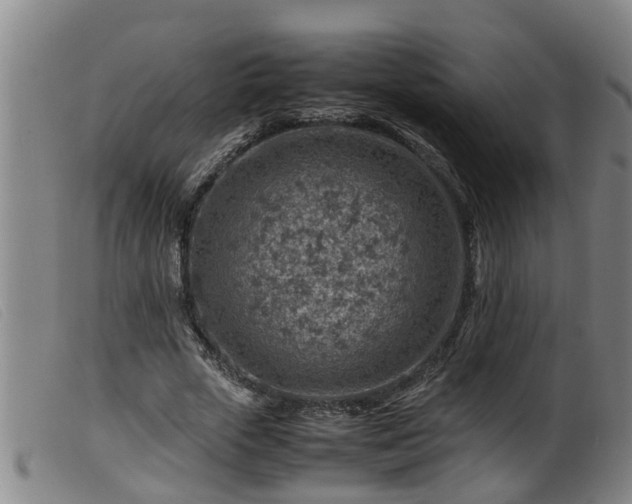 X0000099530729200805231101