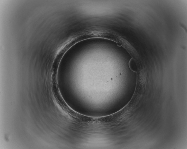 X0000099530730200805231101