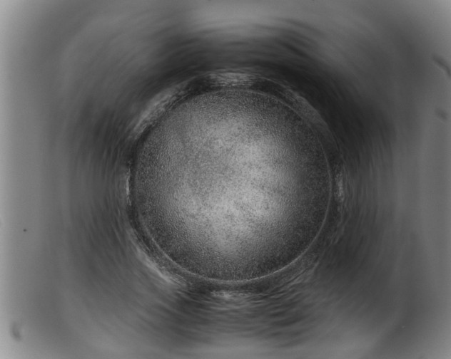X0000099530733200805231101