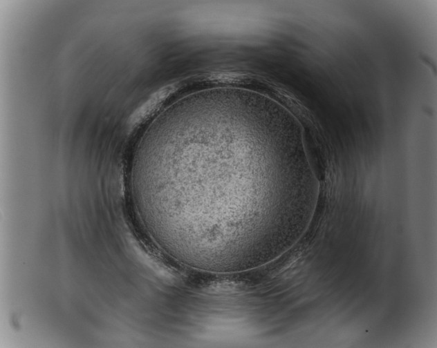 X0000099530734200805231101