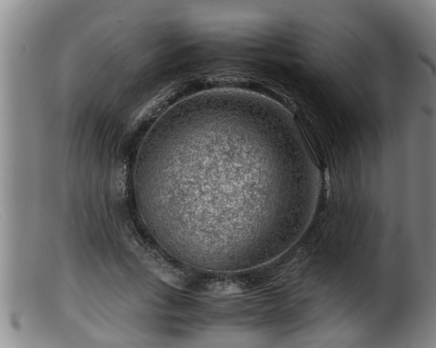X0000099530735200805231101