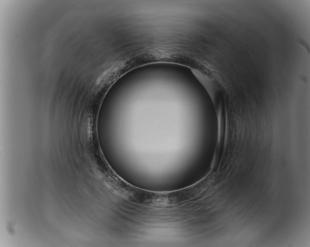 X0000099530740200805231102