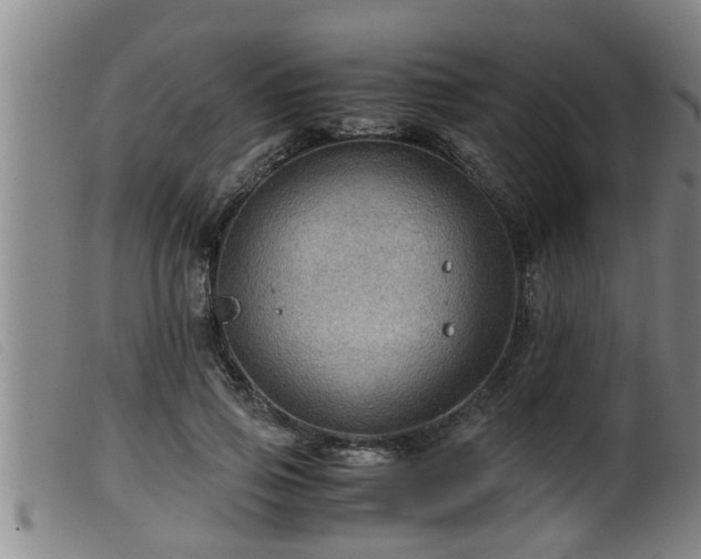 X0000099530741200805231102