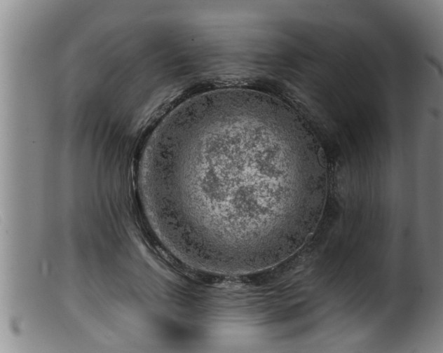X0000099530742200805231102