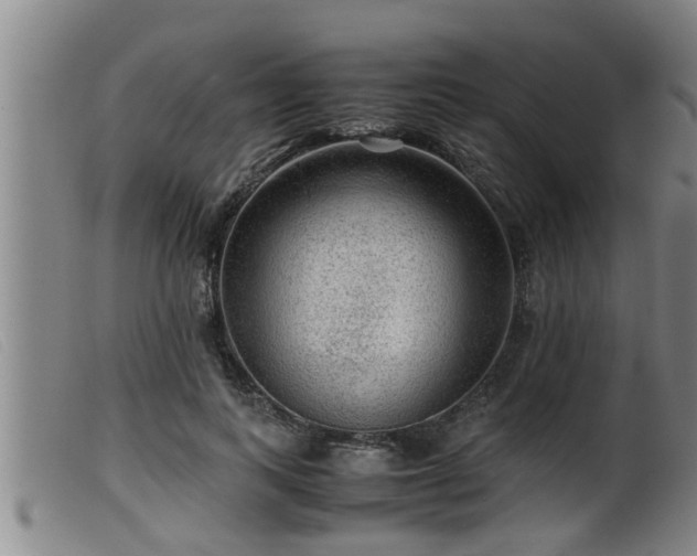 X0000099530743200805231102