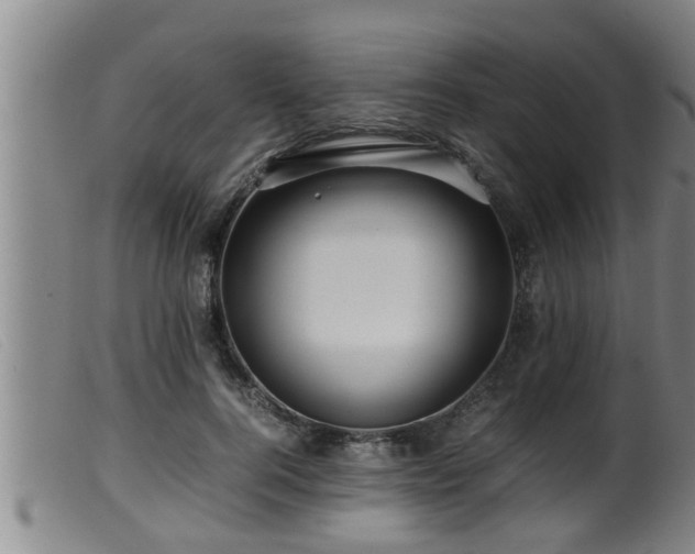 X0000099530744200805231102