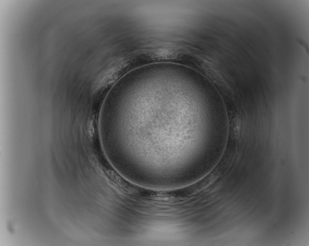X0000099530746200805231102