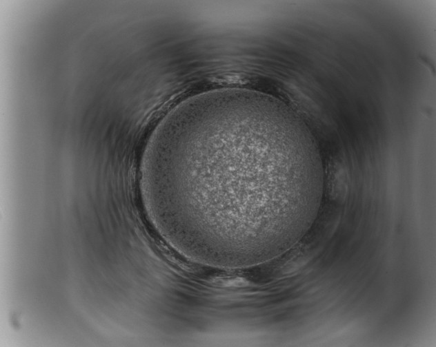 X0000099530747200805231102