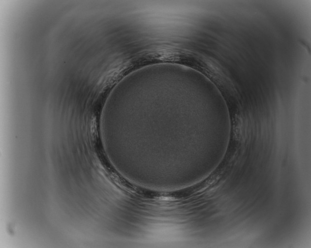X0000099530748200805231102