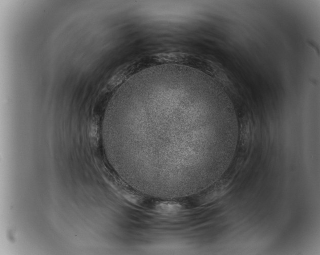 X0000099530749200805231102