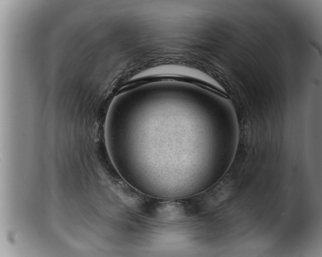 X0000099530750200805231102