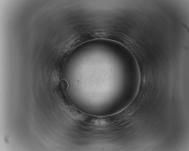 X0000099530751200805231102