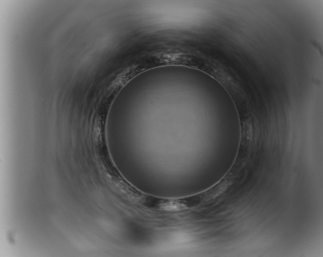 X0000099530754200805231102