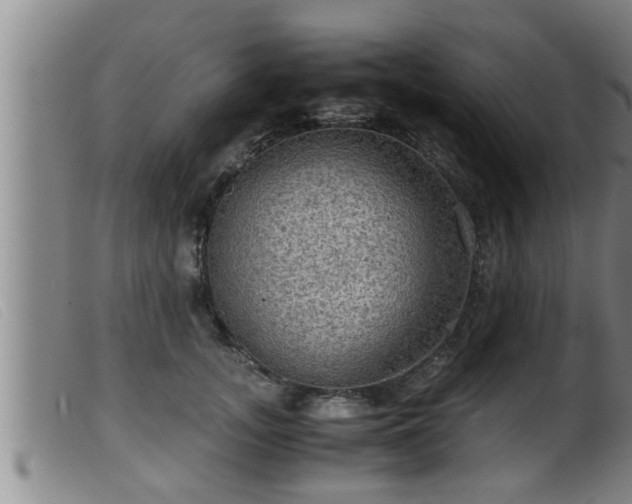 X0000099530755200805231102