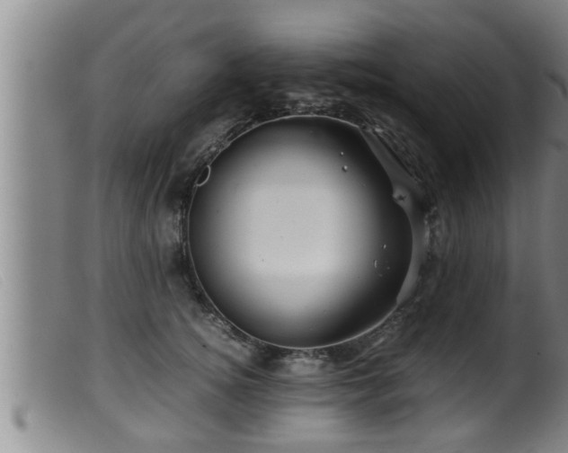 X0000099530756200805231102