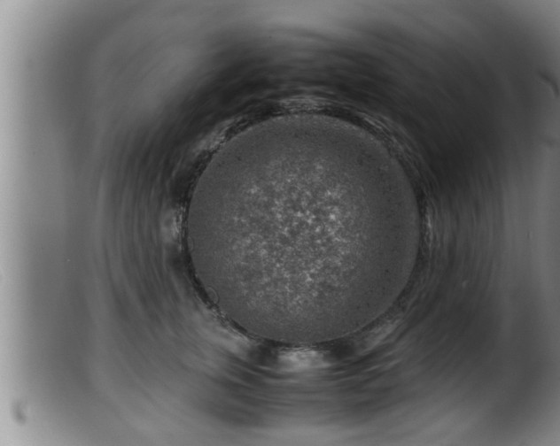 X0000099530759200805231102