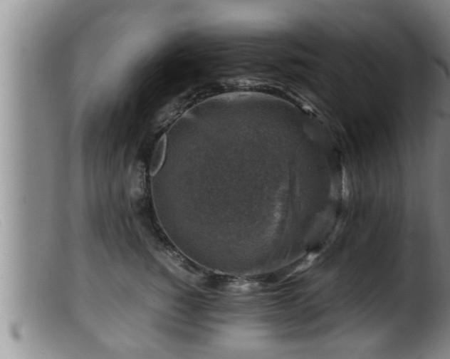 X0000099530760200805231102
