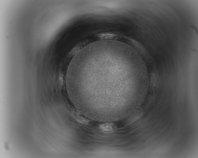 X0000099530761200805231102