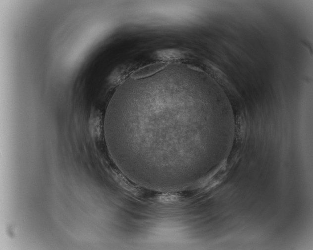 X0000099530762200805231102