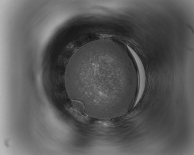 X0000099530763200805231102