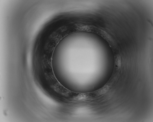 X0000099530764200805231102