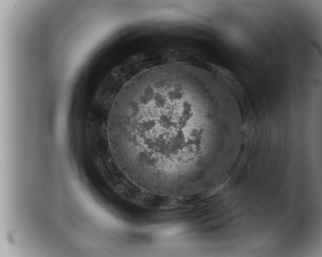X0000099530765200805231102