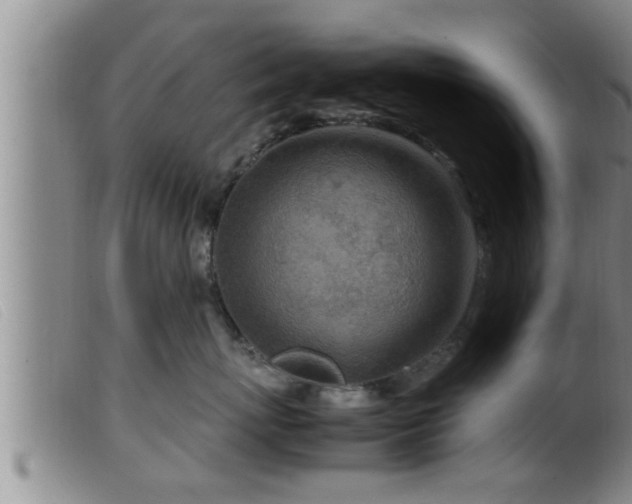 X0000099530767200805231102