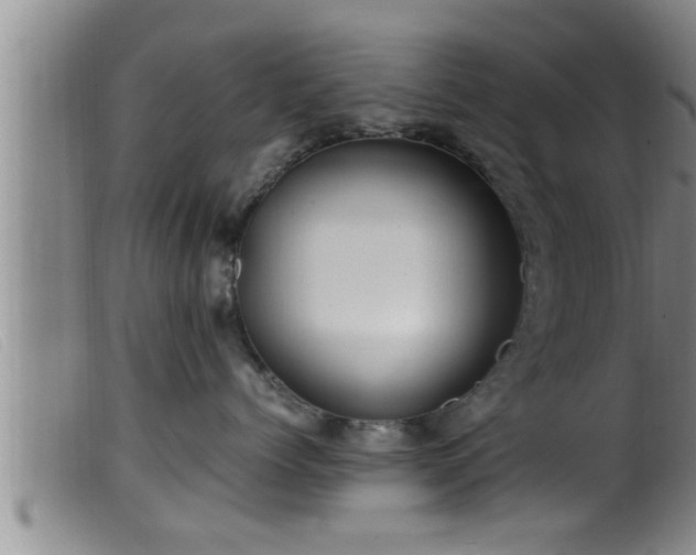 X0000099530768200805231102