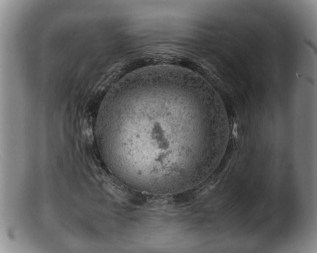 X0000099530771200805231101