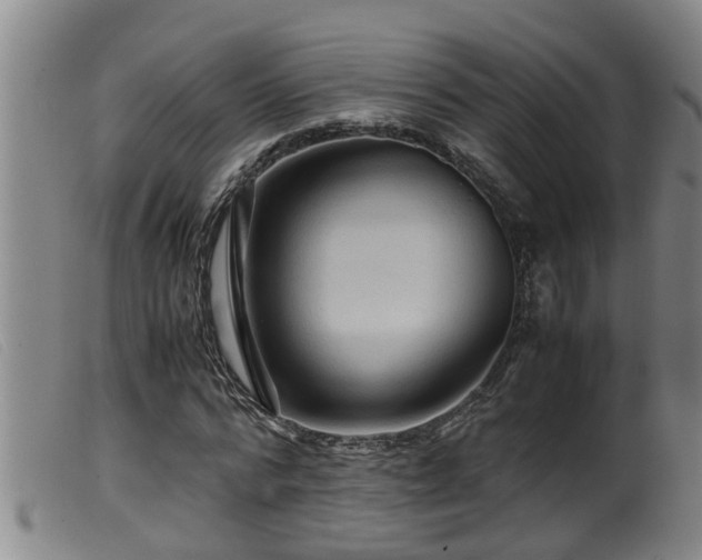 X0000099530776200805231101