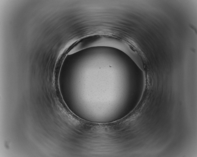 X0000099530780200805231101