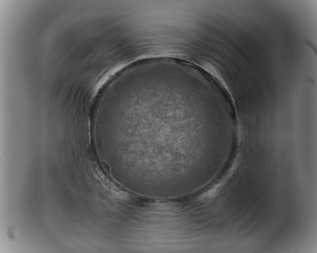 X0000099530781200805231101