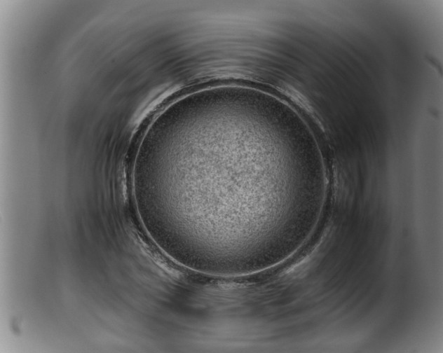 X0000099530782200805231101