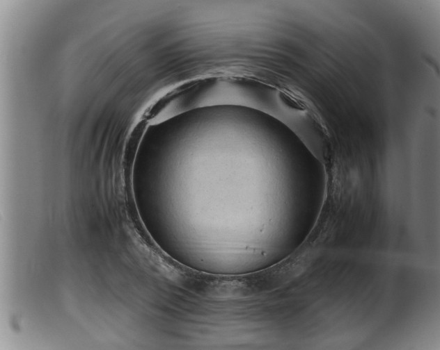 X0000099530784200805231101