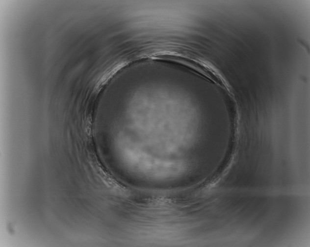 X0000099530785200805231101
