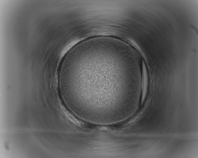 X0000099530787200805231101