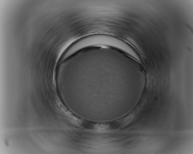 X0000099530788200805231101