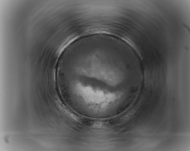 X0000099530790200805231101