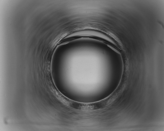 X0000099530793200805231101