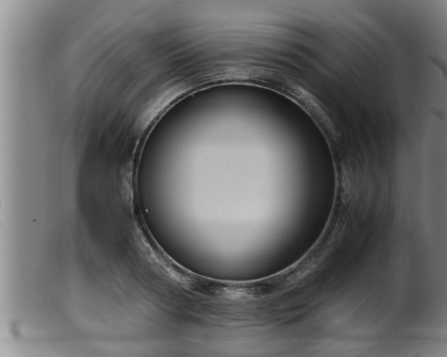 X0000099530794200805231101