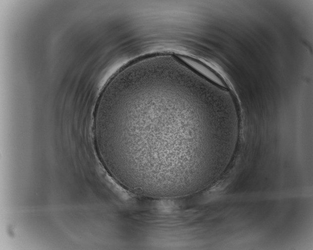 X0000099530799200805231101