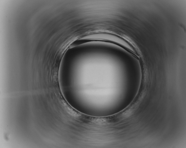 X0000099530801200805231101