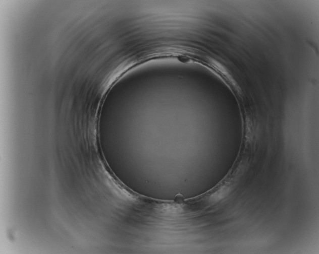 X0000099530802200805231101