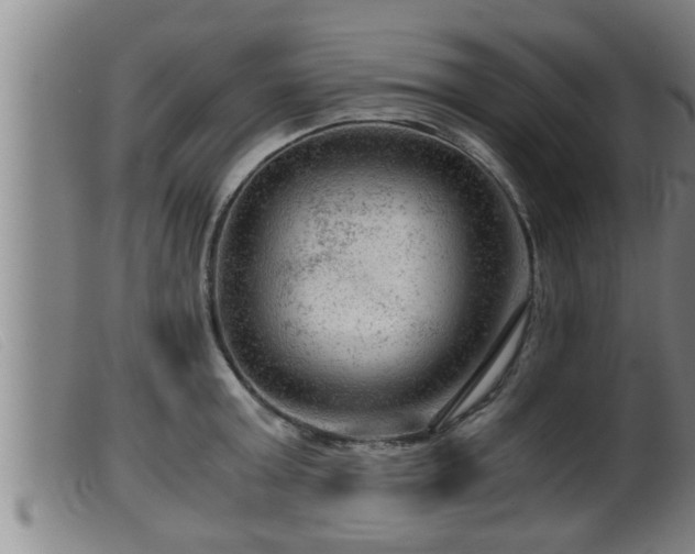 X0000099530803200805231101