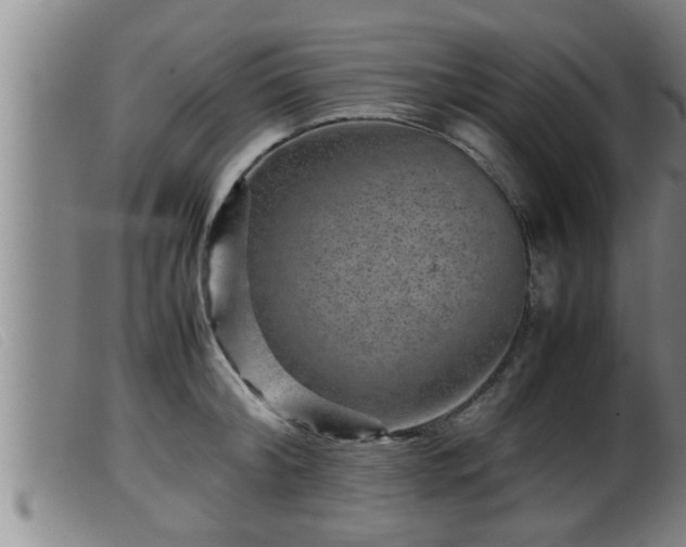 X0000099530804200805231101