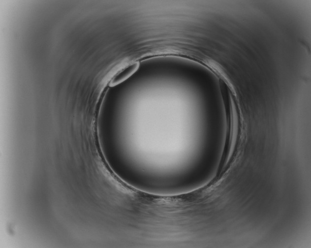 X0000099530805200805231101